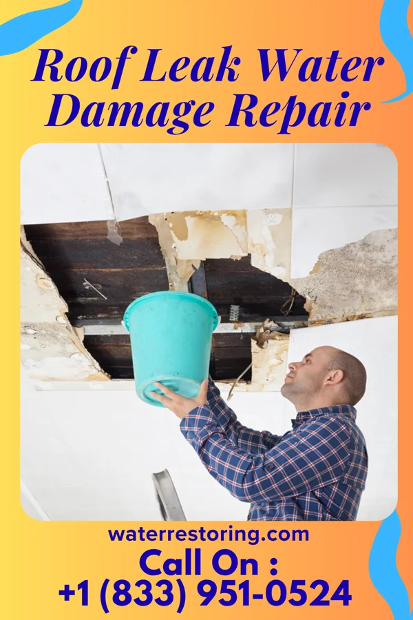 Roof Leak Water Damage Repair in Fort Benton, MT